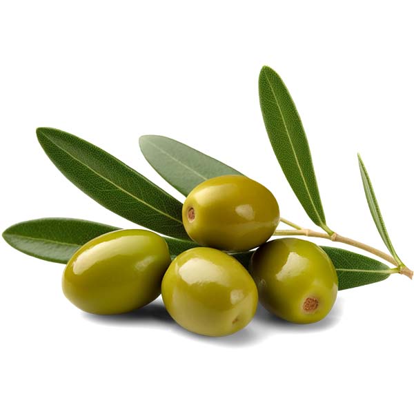 decorative olives and leaves